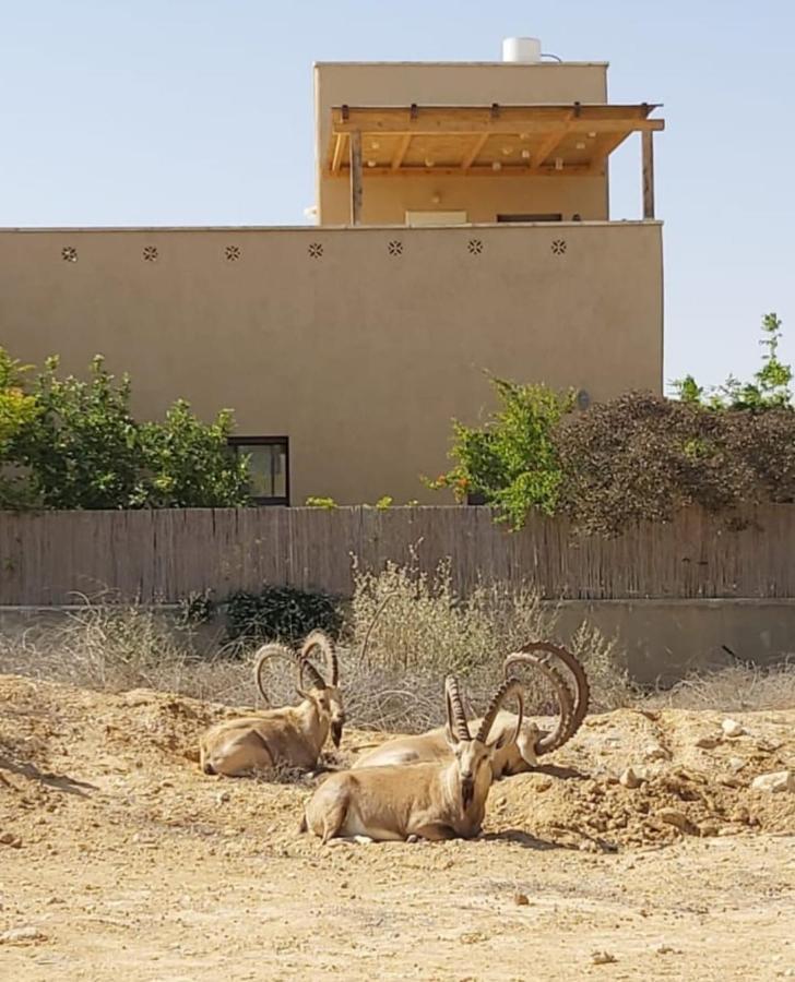 צמח בר Apartment Midreshet Ben Gurion Exterior photo